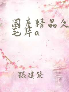 国产精品久久久毛片a