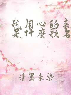 我用心的来爱你是什么歌名