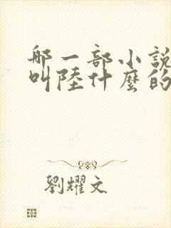 哪一部小说主角叫陆什么的