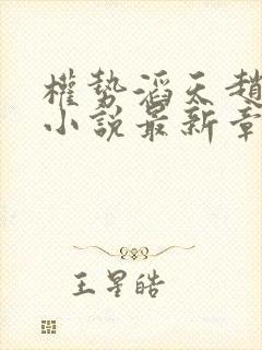 权势滔天赵小二小说最新章节列表