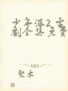 少年派2 电视剧全集免费观看