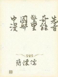 中国惊奇先生动漫哪里能看