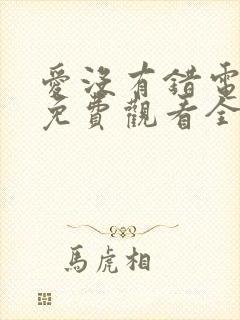 爱没有错电视剧免费观看全集