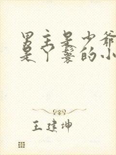 男主是少爷女主是丫鬟的小说