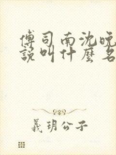 傅司南沈晚音小说叫什么名字