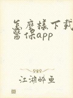 怎么样下载国家医保app