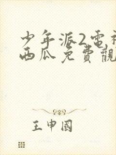 少年派2电视剧西瓜免费观看