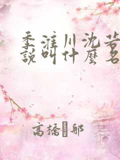 季淮川沈若初小说叫什么名字