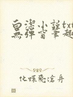 白洁小说txt无弹窗笔趣阁