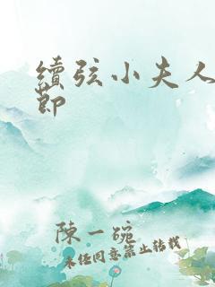 续弦小夫人新章节