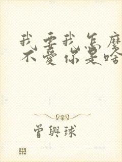 我要我怎么说我不爱你是啥歌