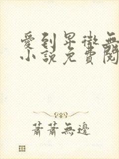 爱到卑微无遗憾小说免费阅读