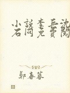 小说李兵沈思顽石网免费阅读