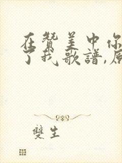 在赞美中你医治了我歌谱,原唱