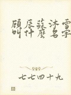 顾辰苏沐雪小说叫什么名字