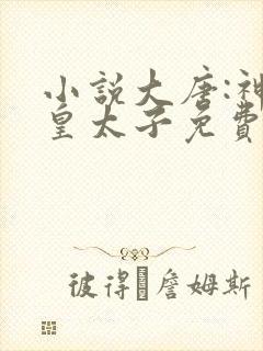 小说大唐:神级皇太子免费看