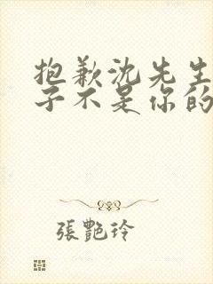 抱歉沈先生这孩子不是你的短剧免费观看