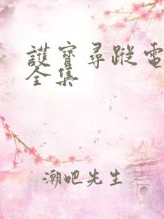 护宝寻踪电视剧全集