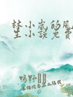 林小岚的风流人生小说免费阅读