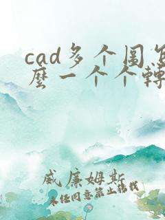cad多个图怎么一个个转换成pdf