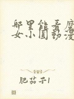 哪里能看魔法少女小圆动漫