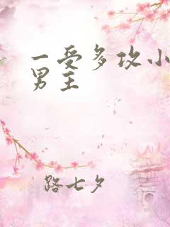 一受多攻小说双男主