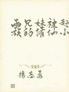 两兄妹被赶出家族的修仙小说