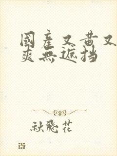 国产又黄又色又爽无遮挡