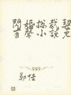 闪婚总裁契约妻有声小说免费听