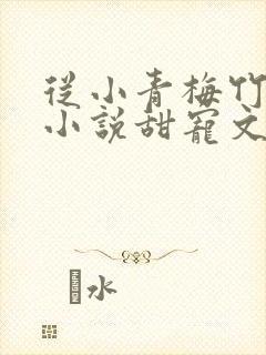 从小青梅竹马的小说甜宠文