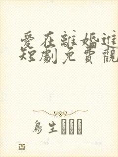 爱在离婚进行时短剧免费观看全集