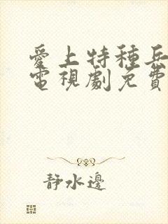 爱上特种兵高清电视剧免费观看