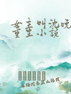 女主叫沈晚晚的重生小说