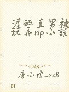 灌醉直男被下药玩弄np小说