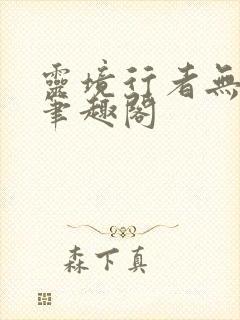 灵境行者无错字笔趣阁