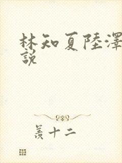 林知夏陆泽言小说