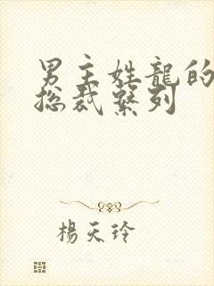 男主姓龙的豪门总裁系列