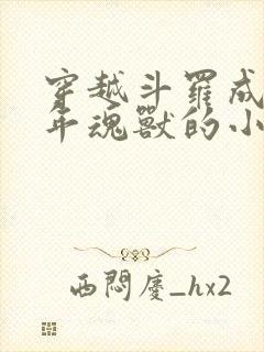 穿越斗罗成十万年魂兽的小说