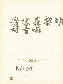 潜伏在黎明之前好看嘛