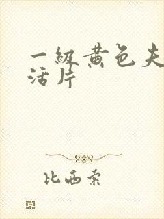 一级黄色夫妻生活片