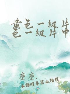 黄色一级片新黄色一级片中国新版版