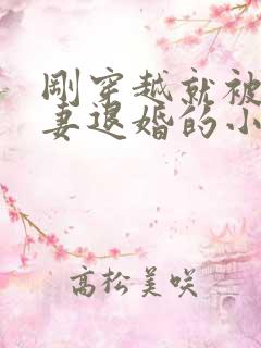 刚穿越就被未婚妻退婚的小说