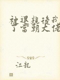 被退亲后我嫁给了当朝大佬 txt