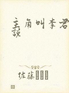 主角叫李君的小说