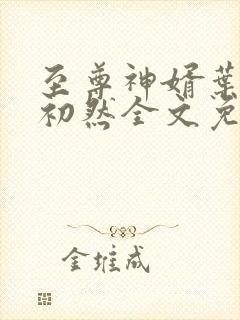 至尊神婿叶辰萧初然全文免费