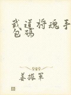 武道将魂手游礼包码