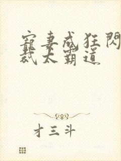 宠妻成狂闪婚总裁太霸道