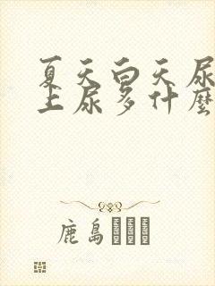 夏天白天尿少晚上尿多什么原因