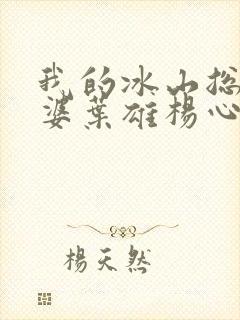 我的冰山总裁老婆叶雄杨心怡