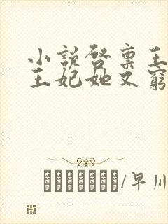 小说启禀王爷,王妃她又穷疯了